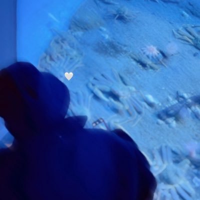 yn_y1_'s profile picture. ❤ ^ᴗ ᴗ^♡