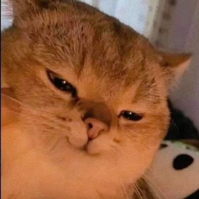 Mizz_Freud's profile picture. La existencia es esto... lo absurdo.