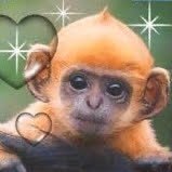 bunkey (@chiefkeefmidi) 's Twitter Profile Photo bunkey (@chiefkeefmidi) 's Twitter Profile Photo