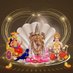 Sasikumar (@sasikvhs0908) Twitter profile photo Sasikumar (@sasikvhs0908) Twitter profile photo