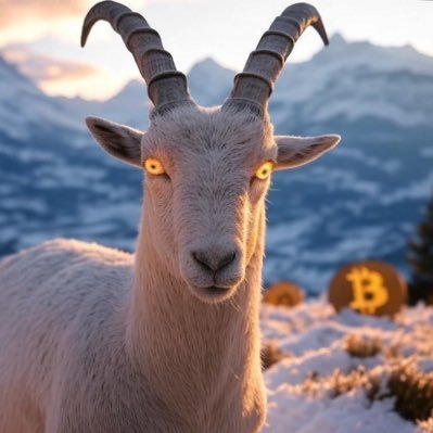 vinyl3data's profile picture. Plan ₿ - ₿oobs & #Bitcoin - #Hodl & chill