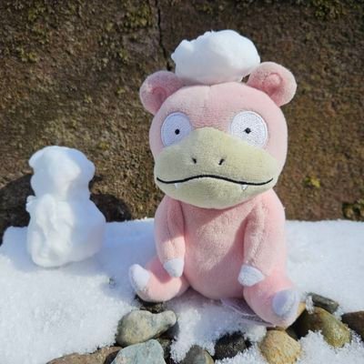 anemone_yaaan's profile picture. ポケモン用アカウントやぁん。ぬい撮りメイン。
2代目の相棒ヤドンちゃんとのお出かけを楽しんでます。初代相棒のピカ様は23年6月18日にお別れ😢(紛失)
ポケモンとの出会いはサトシと同じ日。
金銀スタート/ジョート地方好き。
