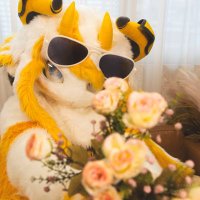 Choko (@choko_heart) 's Twitter Profile