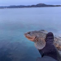 anglerおいちゃん (@angler_oichan) Twitter profile photo
