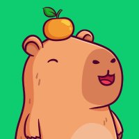ChonkyBaras (@chonkybaras_nft) Twitter profile photo