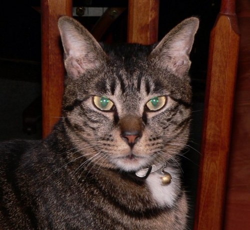 EigakanJazz's profile picture. 映画館を愛する9名が力を合わせ「第2期 映画館」が始まりました。【定休日】日曜・月曜・祝日 【営業時間】16-22時 ＊元 中の人【絹子さんのK＆K】→ @kinuko_kotaro