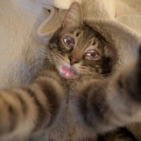 Mo_nigma (@mo_nigma) 's Twitter Profile Photo Mo_nigma (@mo_nigma) 's Twitter Profile Photo