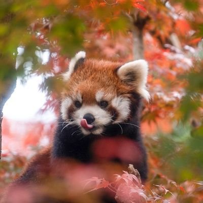 KIMI51098740's profile picture. 読書、美術鑑賞、写真を撮ることが好きな主婦です。
毎日を楽しく。