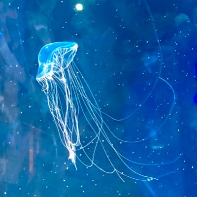 I3Qp3's profile picture. おと(@5Kd01)がサブ垢   こっちを徐々にメインにしてこうかな