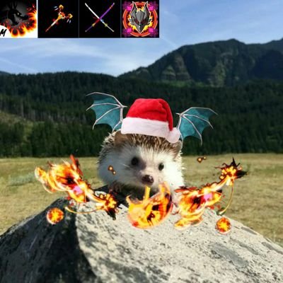 Eshik228798's profile picture. 