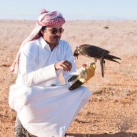 🇶🇦 (@alhamad___87) 's Twitter Profile