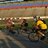 DFWTourdeCure's profile image
