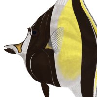 ざんくるす (Zankurus)@7/21はくふぇす (@zankurus) 's Twitter Profile Photo ざんくるす (Zankurus)@7/21はくふぇす (@zankurus) 's Twitter Profile Photo