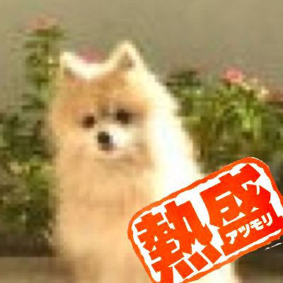 Ponk017's profile picture. 日々自由に生きている