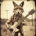 Coyote Blues (@canyoncoyote1) Twitter profile photo Coyote Blues (@canyoncoyote1) Twitter profile photo