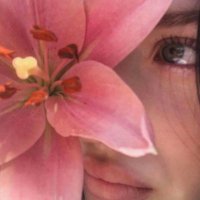 hot chamomile tea (@chamomilered) 's Twitter Profile