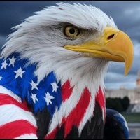 🇺🇸Restore The Republic🇺🇸 (@rubeeye127) 's Twitter Profile