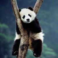 Vikash (@kisan_vikash) 's Twitter Profile Photo