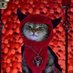 *super villain in training* (@skreammachine) Twitter profile photo *super villain in training* (@skreammachine) Twitter profile photo