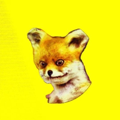 VIT Foxie Profile