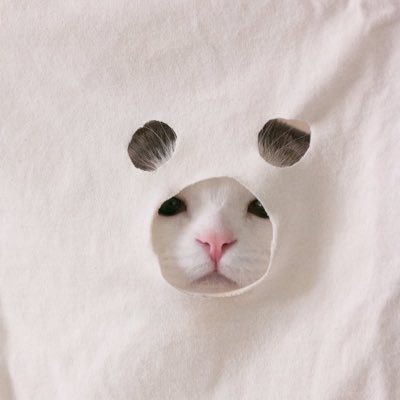 aaitimm's profile picture. โลกใบเล็ก 🖤