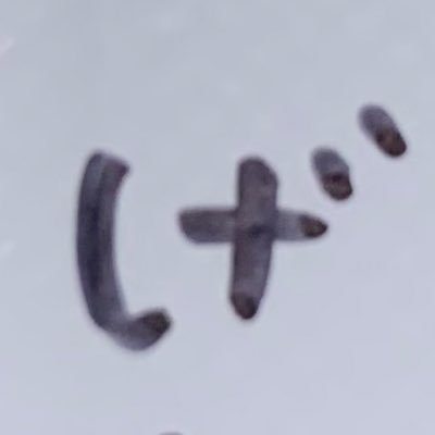 @kinmokusei1999