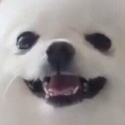 thepastanebula's profile picture. 