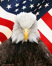 Delta9SFBay's profile picture. I make a lot of common sense comments... because common sense is not that common.