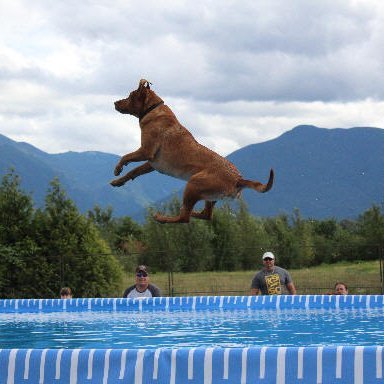 CraigHill1234's profile picture. 