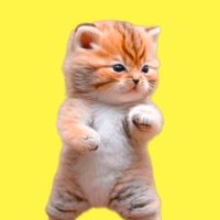 mAnGo Pailin (@lattemalboro) 's Twitter Profile
