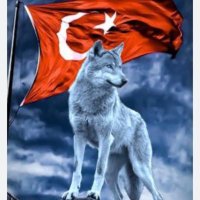 Muttalip (@muttalip7106) 's Twitter Profile