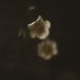 Emi Mitchell (@emmitchellphoto) Twitter profile photo