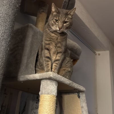 Bine92201198's profile picture. 