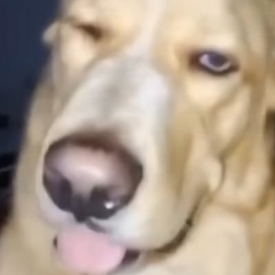 EmilGroser80789's profile picture.