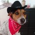 Edi (Eduard Russell Forstinspektor) (@edi_der_russell) Twitter profile photo Edi (Eduard Russell Forstinspektor) (@edi_der_russell) Twitter profile photo