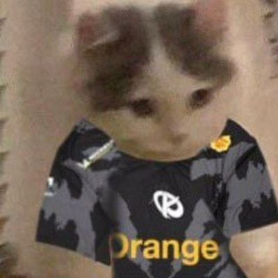Je fais parti de la secte des personnes qui aimes les pâtes au fromage 🧀