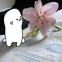 leemo⭑ ₍ᐢ. ༝ .ᐢ₎ (@liliumtristis) Twitter profile photo