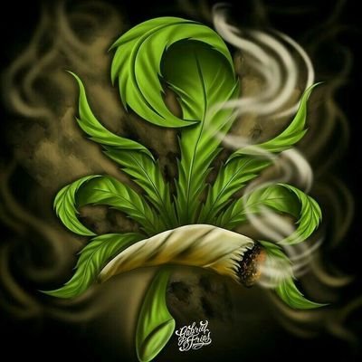 Autoflower Connoisseur. NO SALES. Steel Worker by day, grower by night. St.Louis Native. Husband to @winston_420s. LED Grow by @MarsHydroLight.
