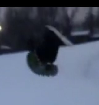 DKotar's profile picture. 