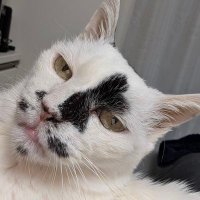 ☀KOH+ (@koh_358) Twitter profile photo