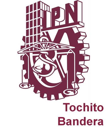 TochitoFlagIPN's profile picture. 