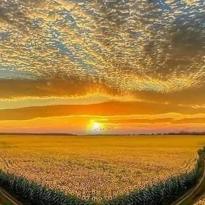 Enigma_PYTH's profile picture. THG47YSU