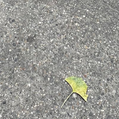 n_alagem's profile picture. Unapologetic nobody, representing no one but myself.