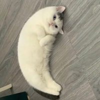 นอจออ. ◡‿◡✿ (@jj__nl__) 's Twitter Profile