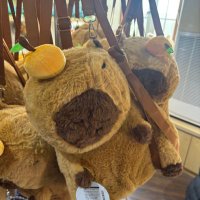 カピバラ (@amaebi_roll_) 's Twitter Profile