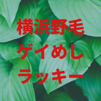 横浜野毛エリアで毎週火曜日だけ営業するゲイのための手作り料理の店 。お酒飲めなくても大丈夫、ソフトドリンクもあります!メンズオンリーです🙏定食付き飲み、歌い放題2時間3,000円 です。営業時間17時〜2時 横浜市中区福富町西通 35-3 日宝ジュビレいせざき102 TEL045-251-6518