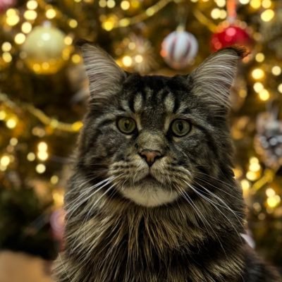 GSzmalec's profile picture. 