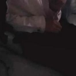 PMOt6vdd5u78741's profile picture. 