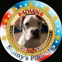 I..AM INDY! (@indybeginsat220) 's Twitter Profile