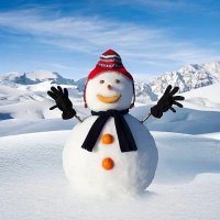 Wint3rfv (@wint3rfv) 's Twitter Profile